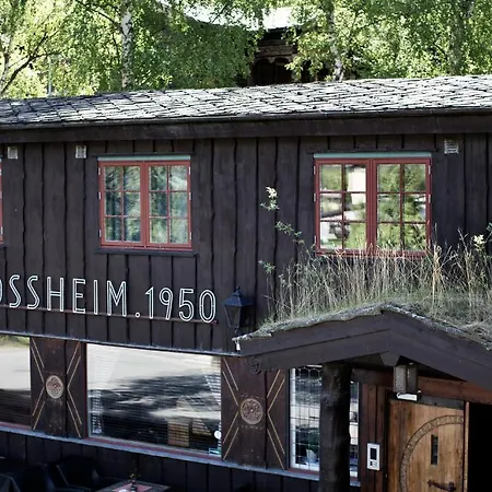 Fossheim 3*