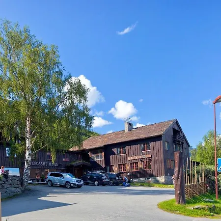 Hotel Fossheim 3*